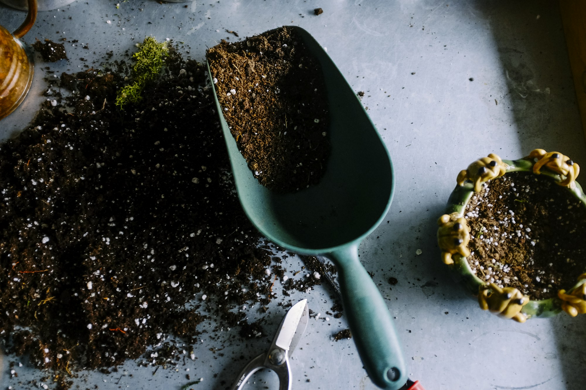 Hands planting in soil